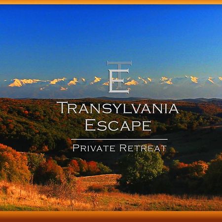 Transylvania Escape Apartment Richisu Bagian luar foto