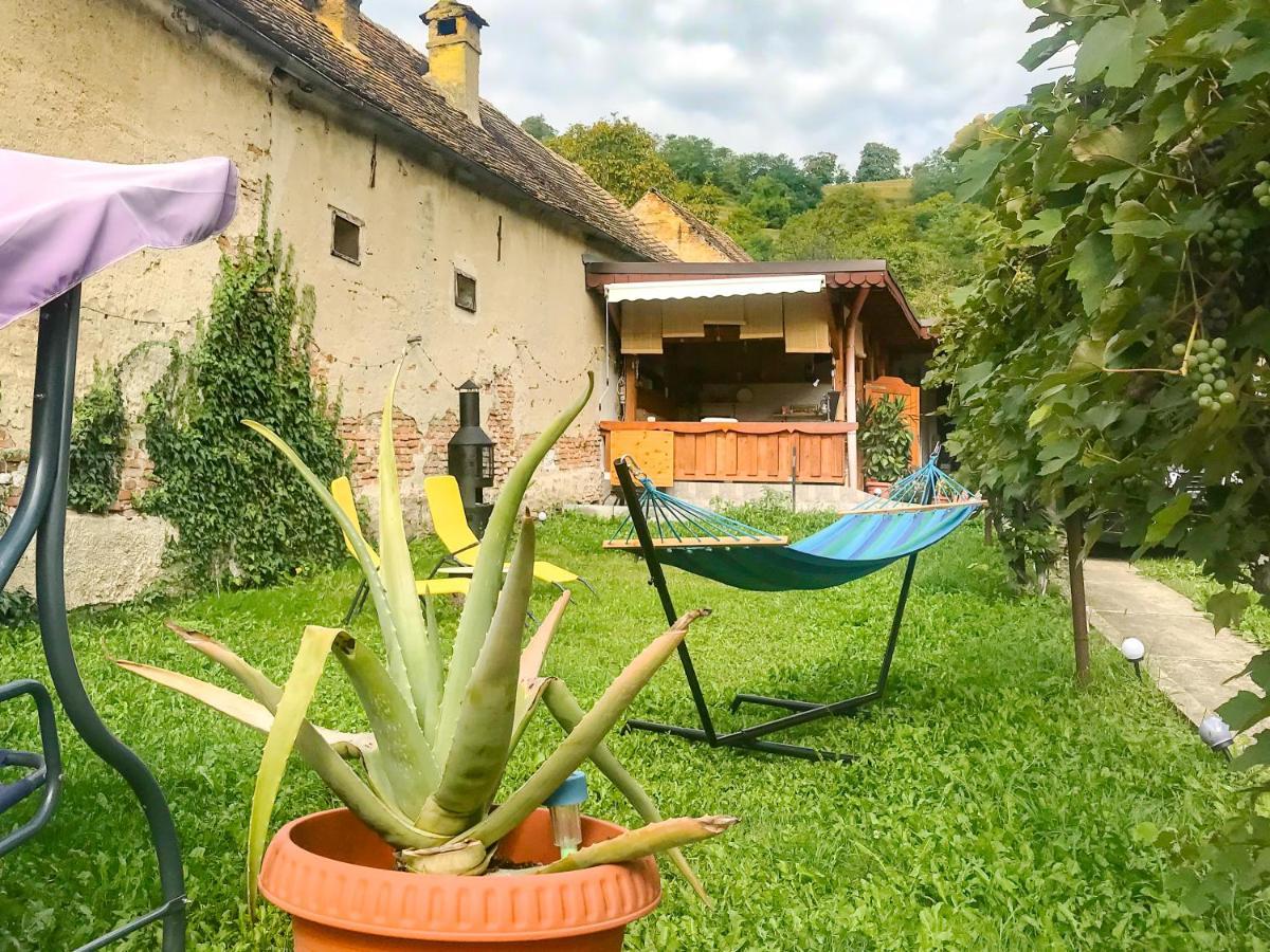 Transylvania Escape Apartment Richisu Bagian luar foto