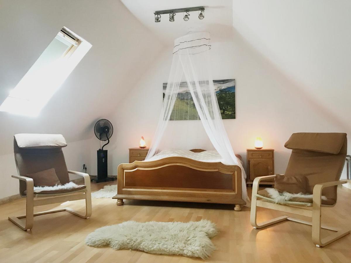Transylvania Escape Apartment Richisu Bagian luar foto