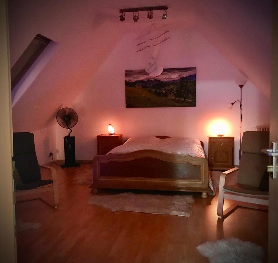 Transylvania Escape Apartment Richisu Bagian luar foto